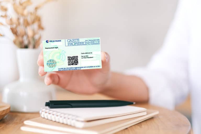 la conciergerie et la carte g et la loi